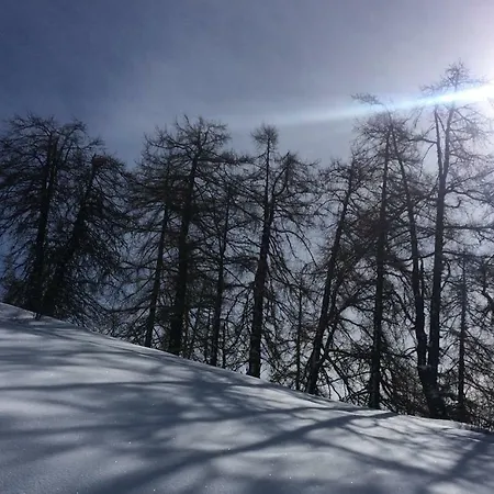 Le Mélèze